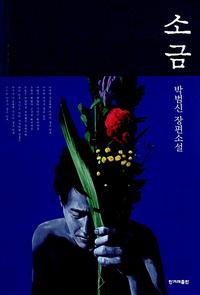 소금 :박범신 장편소설