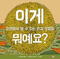 이게 뭐예요? :자연에서 볼 수 있는 온갖 모양들