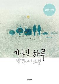 기나긴 하루 (큰글자책) - 박완서 소설