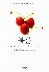 불륜 :파울로 코엘료 장편소설