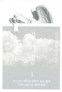 백야행 :하얀 어둠 속을 걷다