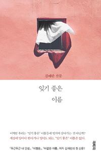 잊기 좋은 이름 :김애란 산문