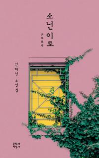 소년이로 :편혜영 소설집