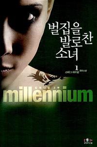 벌집을 발로 찬 소녀 :스티그 라르손 장편소설
