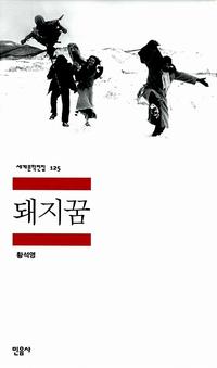 돼지꿈:황석영 소설집